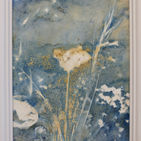 Cyanotype-Lélégance-du-pavot