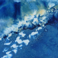 Cyanotype-Wave