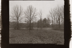 Kallitype Blendon Woods 2