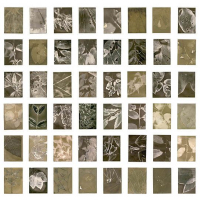 Lumen-print-Amazon-Flora-Samples