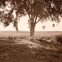 Private Lands