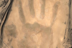 Sabbatier effect Hand