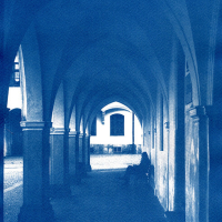 Cyanotype-The-Observer