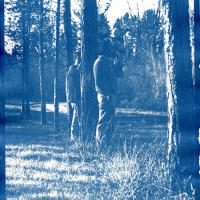 Cyanotype-Watching-the-Cricket