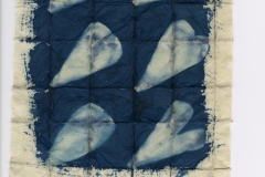 Cyanotype windows 1
