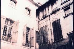 Cyanotype over gum Les Voisins
