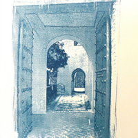 Cyanotype_Vestiges1