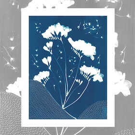 Cyanotype by Marian Fannon Christian