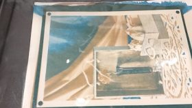 Develop and dry the cyanotype