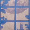 Anthotype made with Gerbera Daisy by Malin Fabbri