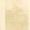 Ash (Fraxinus species) anthotype by Mark Jensen