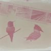 Beetroot (beta vulgars) anthotype by Sonya de Laat