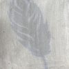 Black cottonwood tree (Populus trichocarpa) anthotype by Adley Rochelle