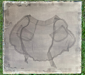 Walnut, black (Juglans nigra) anthotype by Francis Schanberger