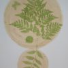Chard (Beta vulgaris) anthotype by Carmen Ayala