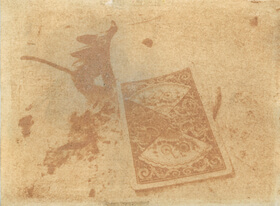 Cinnamon, common (Cinnamomun verum) anthotype by Derpiochina Wilel