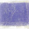 Crocus, purple (Crocus vernus) anthotype by Bruce Dunbar
