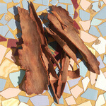 Eucalyptus (Eucalyptus camaldulensis) anthotype by Patricio Ceriani