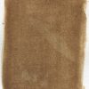 Linden, small-leaved (Tilia cordata) anthotype by Ellen Evers