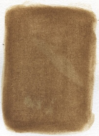 Linden, small-leaved (Tilia cordata) anthotype by Ellen Evers