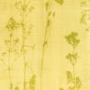 Lupine, large-leaved (Lupinus polyphyllus) anthotype by Tommi Hakkarainen