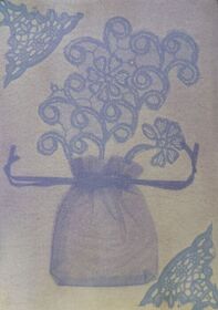 Pomergranate (Punica granatum) anthotype by Regina Cury