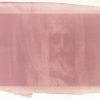 Poppy (Papaver rhoeas) anthotype by Ouico