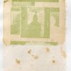 Rocket, wild (Eruca sativa) anthotype by Sheila Oliveira
