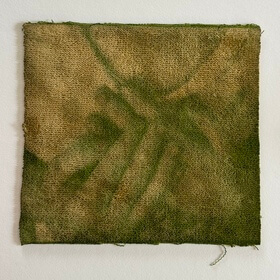 Spinach (Spinacia oleracea) anthotype by Devon John Chebra