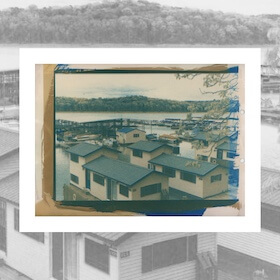 Cyanotype by Matthew Bary