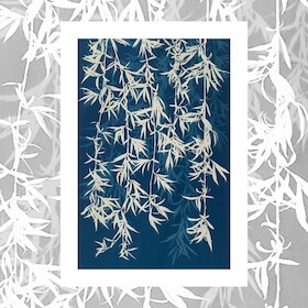 Cyanotype by Bonnie O. App