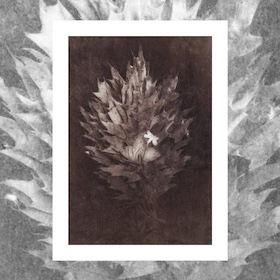 James Sedwick Palladium print