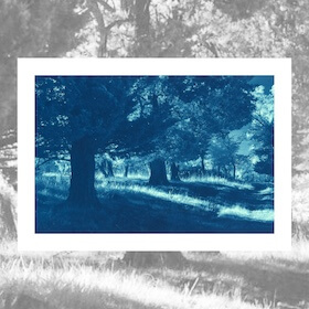 Cyanotype by Kevin Pinkerton