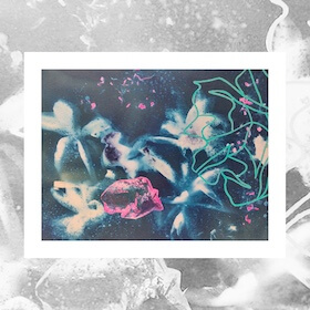 Sylvia Charbonnier Cyanotype