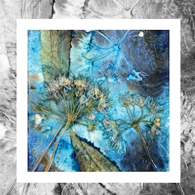 Julie McMahon photographer