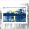 Cyanotype by Kate Durham