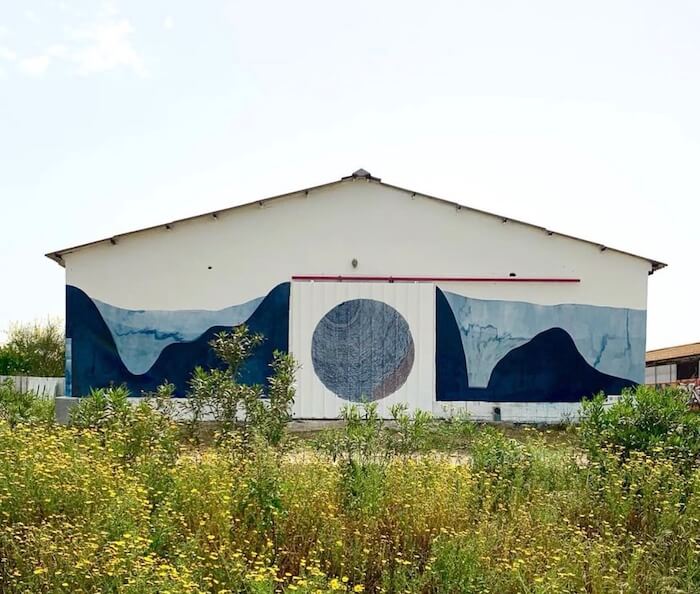 The largest cyanotype made on a wall