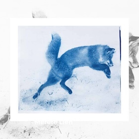 Merete Lien cyanotype