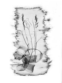 A cameraless cyanotype can become an elegant silver-based graphic positive.