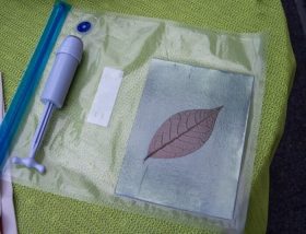 Cyanotype printed in vaccuum sealed bag. The air pressure stiffens the bag when you remove the air, and the bag is not even. Put it in a frame behind glass when exposing to flatten it further.