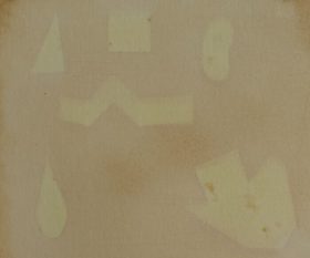 Aloe Anthotype by Ben Conway