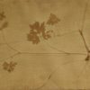 Creeping buttercup (Ranunculus repens) anthotype by Janet Brown