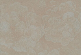 Hydrangea (Hydrangea arborescens) anthotype by Patricia Bromberger