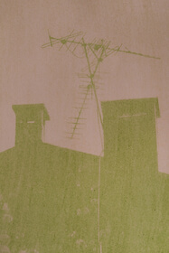 Rocket (Eruca Sativa) anthotype by İlhan Sadıkoğlu