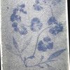 Violet, wood (Viola odorata) anthotype by Anne Kalinic