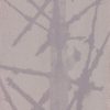 Herb-paris (Paris quadrifolia) anthotype by Panu Pahkamaa