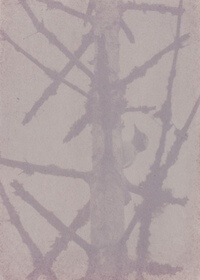 Herb-paris (Paris quadrifolia) anthotype by Panu Pahkamaa