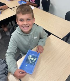 Students at Elk Elementary School made cyanotypes for this year's World Cyanotype Day