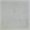 Açaí (Euterpe oleracea) anthotype by Carolina Carmini