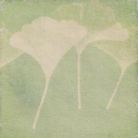 Bird vetch (Vicia cracca) anthotype by Marina Ribot Muñoz